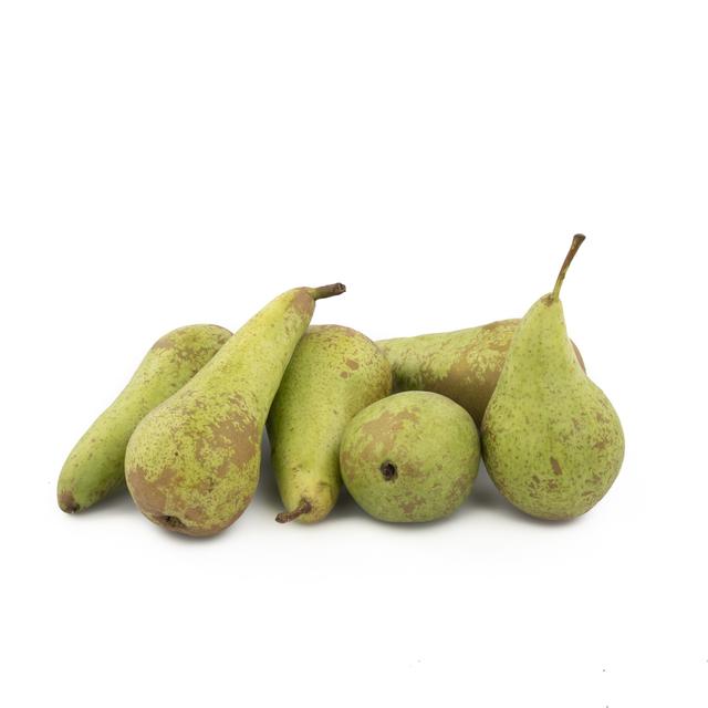 Conference Peer Middel