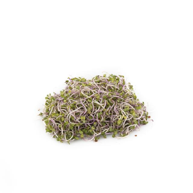 China Rose sprouts (100gr)