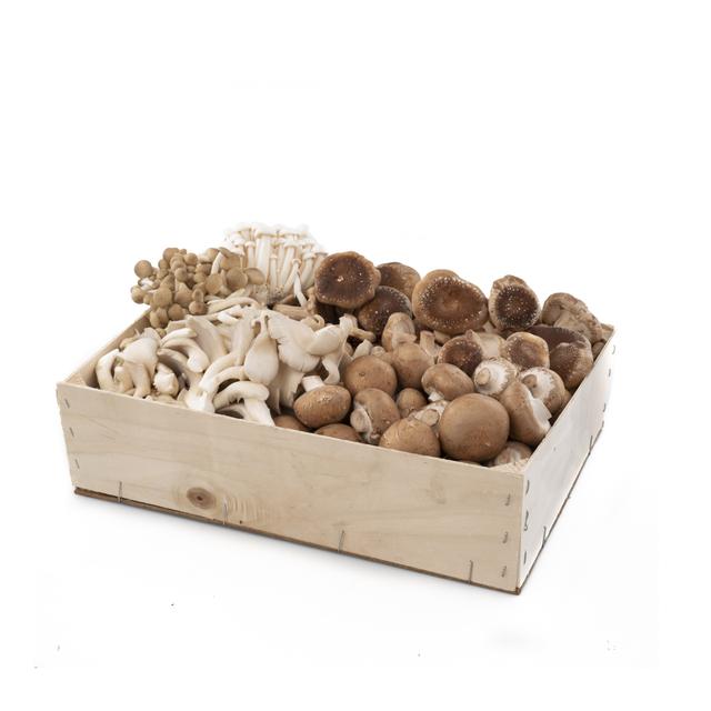 Gecultiveerde paddenstoelenmix