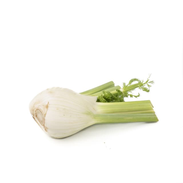 Venkel