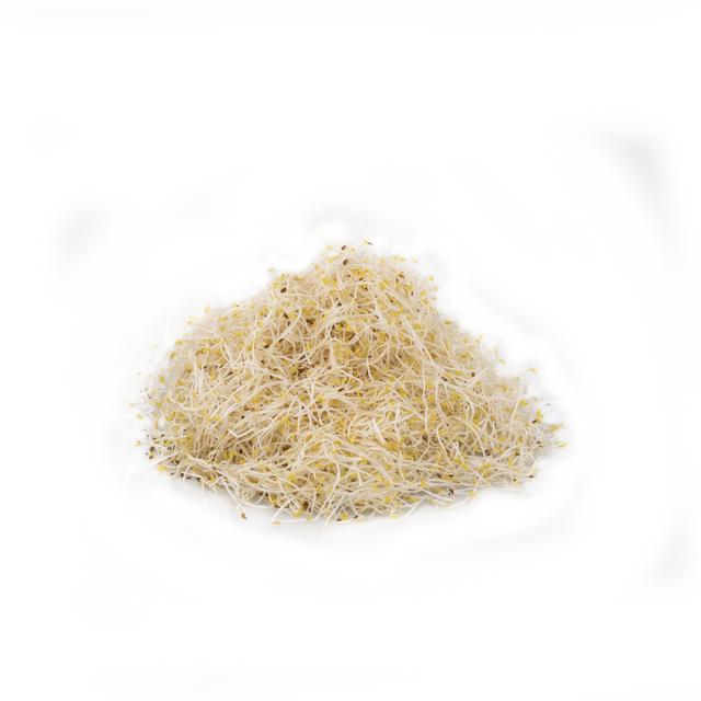 Alfalfa (100gr)