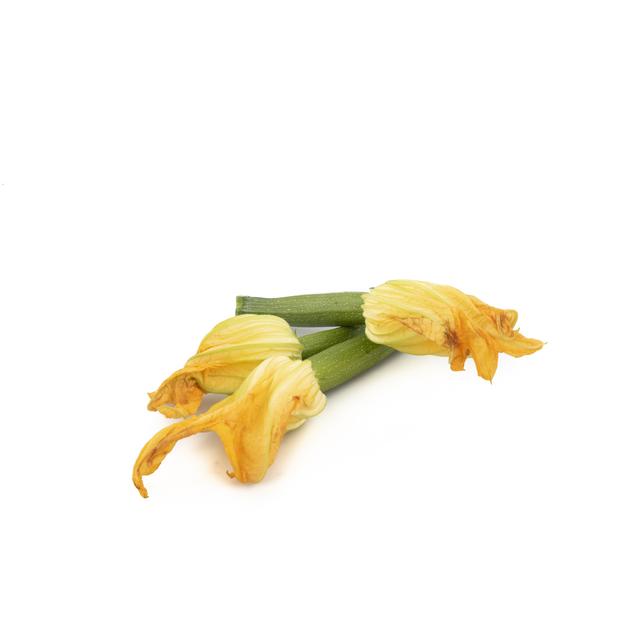 Courgette de Fleur